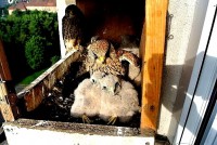 /album/a7-6-2013/na-pruzkumu-jpg/